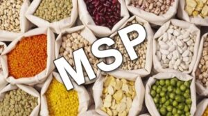 Government gave a gift to farmers, increased MSP on 6 Rabi crops